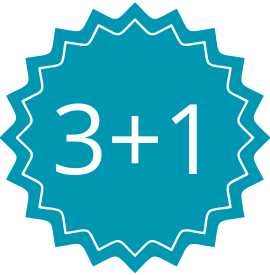 3+1